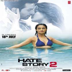 Hate Story 2 (2014)  Poster