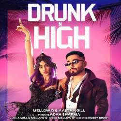 Drunk N High Poster
