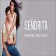 Senorita Ringtone - Shawn Mendes Version Poster