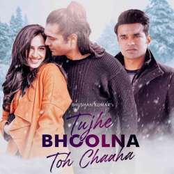 Tujhe Bhoolna Toh Chaaha Poster
