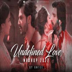 Undefined Love Mashup 2022 Poster