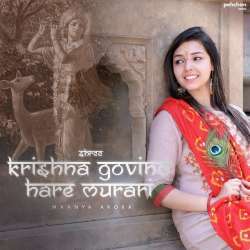Shree Krishna Govind Hare Murari Poster