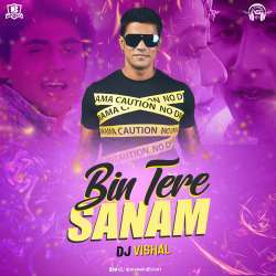 Bin Tere Sanam (Remix) Poster