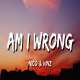 Am I Wrong Remix (TikTok) Poster