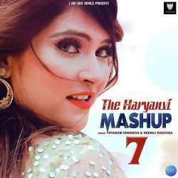 The Haryanvi Mashup 7 Poster