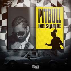 Pitbull MC Square Poster