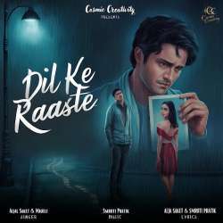 Dil Ke Raaste Poster